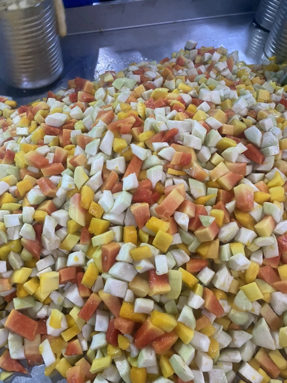 CANNED MIXED FRUITS